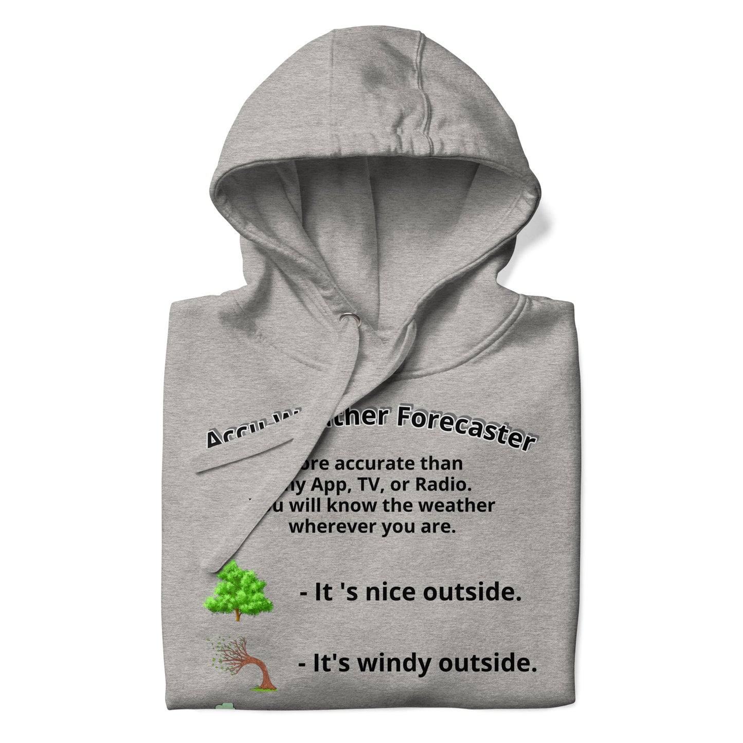 Accu-Weather Forecaster