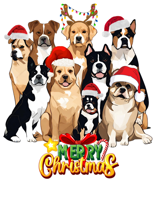 The Neighborhood Choraliers